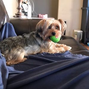 Meet your Posher, Christy